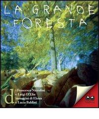 La grande foresta di Francesco Niccolini, Luigi D'Elia edito da Titivillus