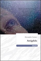 Amigdala di Alessandro Carraro edito da Gruppo Albatros Il Filo