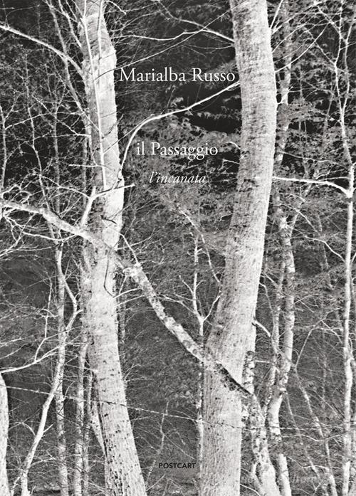 Il passaggio. L'incanata. Ediz. italiana e ingle di Marialba Russo edito da Postcart Edizioni