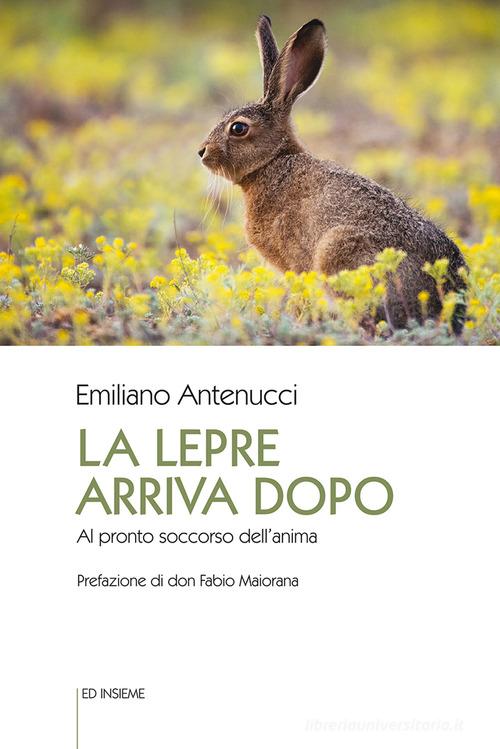 La lepre arriva dopo. Al pronto soccorso dell'anima di Emiliano Antenucci edito da Ed Insieme