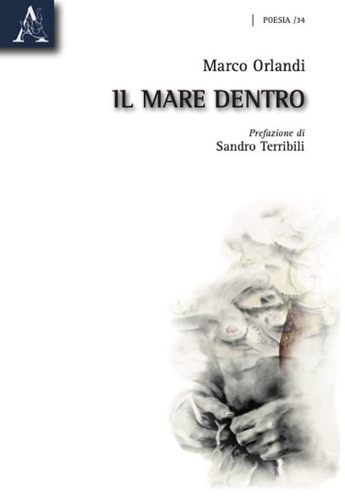 Libro Il mare dentro di Marco Orlandi di Aracne