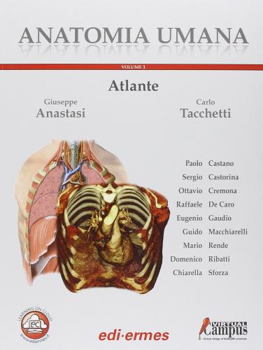 Anatomia umana. Atlante vol.1 di Giuseppe Anastasi, Carlo Tacchetti edito da Edi. Ermes