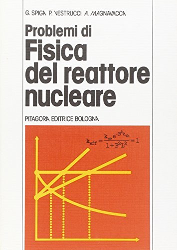 Problemi di fisica del reattore nucleare di Giampiero Spiga, Paolo Vestrucci, Armando Magnavacca edito da Pitagora
