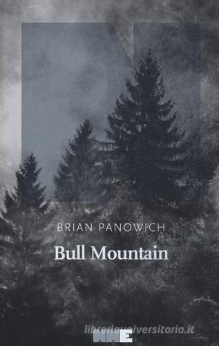 Bull Mountain di Brian Panowich edito da NN Editore