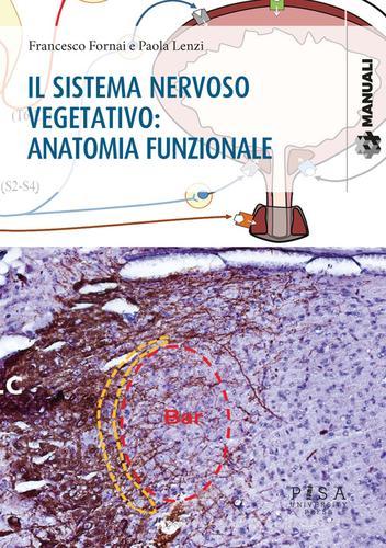 Il sistema nervoso vegetativo: anatomia funzionale di Francesco Fornai, Paola Lenzi edito da Pisa University Press