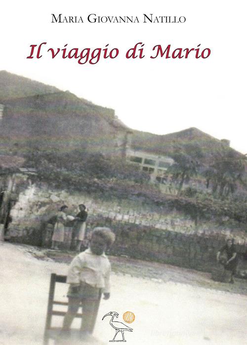 Il viaggio di Mario di Maria Giovanna Natillo edito da 2000diciassette