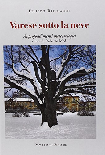 Varese sotto la neve di Filippo Ricciardi edito da Macchione Editore
