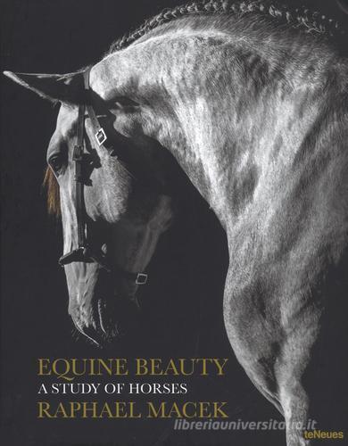 Equine beauty. A study of horses. Ediz. a colori di Raphael Macek edito da TeNeues
