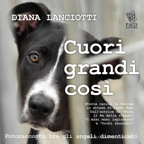 Cuori grandi così. Fotoracconto tra gli angeli dimenticati di Diana Lanciotti edito da Paco Editore