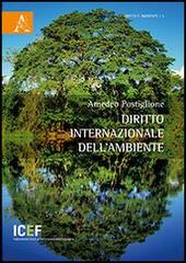 Diritto internazionale dell'ambiente di Amedeo Postiglione edito da Aracne