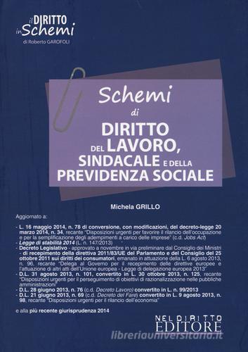 Schemi di diritto del lavoro, sindacale e della previdenza sociale di Michela Grillo edito da Neldiritto Editore