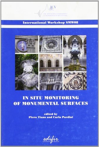 In situ. Monitoring of monumental surfaces. Atti del Convegno internazionale di studi (Firenze, 27-29 ottobre 2008) edito da EDIFIR