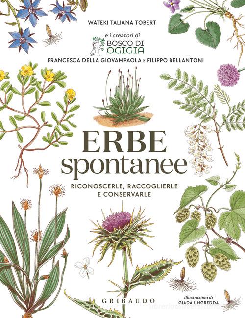 Erbe spontanee. Riconoscerle, raccoglierle e conservarle di Wateki Taliana Tobert, Francesca Della Giovampaola, Filippo Bellantoni edito da Gribaudo