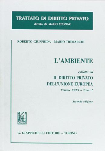 L' ambiente di Roberto Giuffrida, Mario Trimarchi edito da Giappichelli