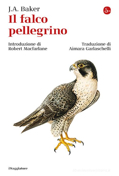 Il falco pellegrino di John Alec Baker edito da Il Saggiatore