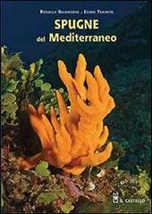 Spugne del Mediterraneo. Ediz. illustrata di Egidio Trainito, Rossella Baldacconi edito da Il Castello
