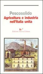 Agricoltura e industria nell'Italia unita di Guido Pescosolido edito da Nuova Cultura