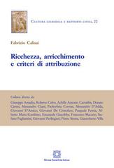 Ricchezza, arricchimento e criteri di attribuzione di Fabrizio Calisai edito da Edizioni Scientifiche Italiane