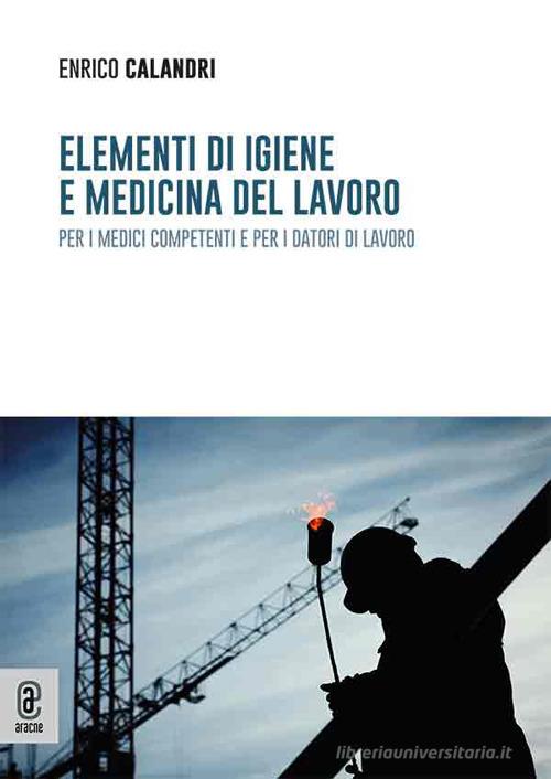 Elementi di igiene e medicina del lavoro per i medici competenti e per i datori di lavoro di Enrico Calandri edito da Aracne (Genzano di Roma)
