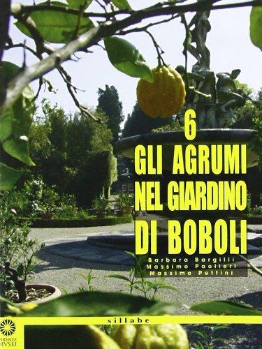 Gli agrumi nel giardino di Boboli di Barbara Bargilli, Massimo Paolieri, Massimo Pettini edito da Sillabe