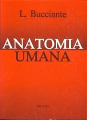Anatomia umana di Luigi Bucciante edito da Piccin-Nuova Libraria