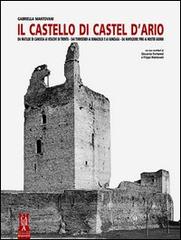 Il castello di Castel d'Ario di Gabriella Mantovani edito da Sometti