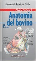 Atlante illustrato di anatomia del bovino di Klaus-Dieter Budras edito da Antonio Delfino Editore