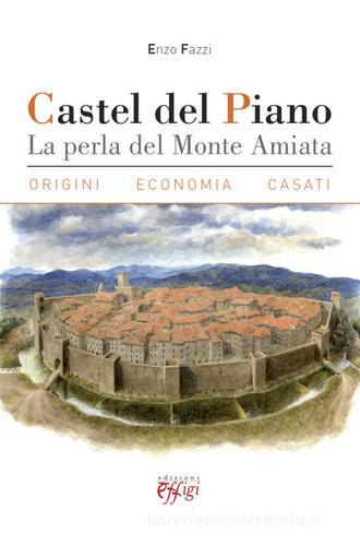 Castel del Piano. La perla del monte Amiata. Origini, economia, casati di Enzo Fazzi edito da C&P Adver Effigi