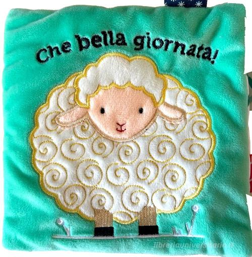 La giornata di stoffa. Ediz. a colori di Francesca Ferri edito da Librido Gallucci
