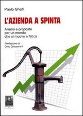 L' azienda a spinta. Analisi e proposte per un mondo che si muove a fatica di Paolo Ghelfi edito da Città del Sole Edizioni