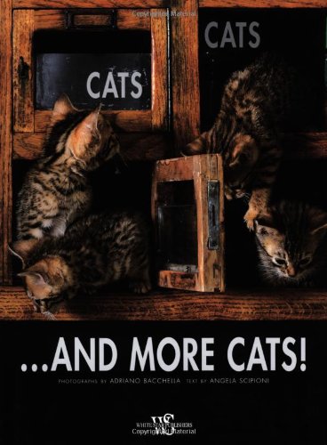 Cats, cats... and more cats! di Angela Scipioni edito da White Star
