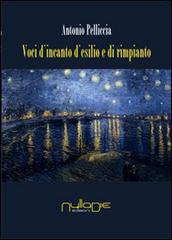 Voci d'incanto, d'esilio e di rimpianto di Antonio Pelliccia edito da Nulla Die