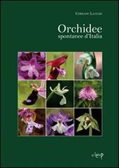 Orchidee spontanee d'Italia. Ediz. illustrata di Corrado Lazzari edito da CLEUP