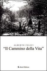 «Il cammino della vita» di Alberto Felici edito da Aletti