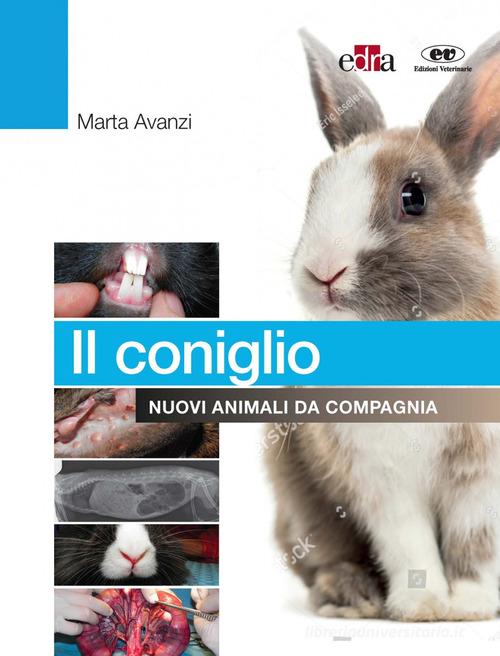Il coniglio. Nuovi animali da compagnia di Marta Avanzi edito da Edra