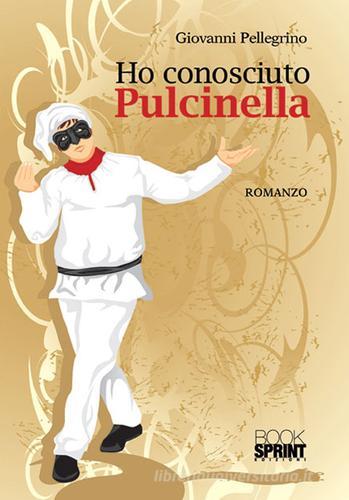 Ho conosciuto Pulcinella di Giovanni Pellegrino edito da Booksprint