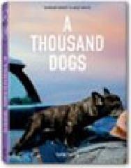 A Thousand Dogs. Ediz. illustrata di Raymond Merritt, Miles Barth edito da Taschen