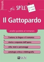 Il Gattopardo. Analisi guidata al romanzo di Mariangela Castiello edito da Alpha Test