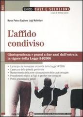 L' affido condiviso. Giurisprudenza e prassi a due anni dall'entrata in vigore della legge 54/2006 di Marco Peluso Gaglione, Luigi Malfettani edito da Sistemi Editoriali