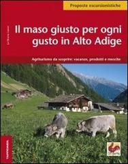 Alto Adige. Il maso giusto per ogni gusto di Jul Bruno Laner edito da Tappeiner