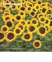 Sunflowers. Calendario 2004 edito da Lem