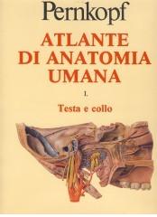 Atlante di anatomia umana. Indice analitico di Eduard Pernkopf edito da Piccin-Nuova Libraria
