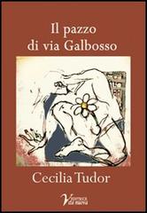 Il pazzo di via Galbosso di Cecilia Tudor edito da Vita Nuova