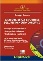 Giurisprudenza e formule dell'affidamento condiviso di Giuseppe Cassano edito da Maggioli Editore