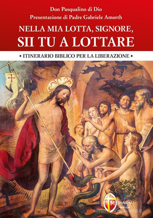 Nella mia lotta, Signore, sii tu a lottare. Itinerario biblico per la liberazione di Pasqualino Di Dio edito da Editrice Shalom