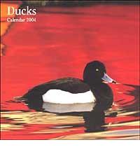 Ducks. Calendario 2004 edito da Lem