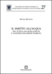 Il diritto dell'acqua di Renato Briganti edito da Edizioni Scientifiche Italiane