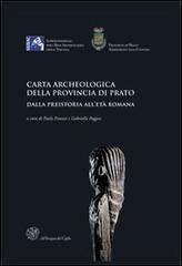 Carta archeologica della provincia di Prato. Dalla preistoria all'età romana. Con CD-ROM edito da All'Insegna del Giglio