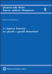 Le imprese bancarie tra piccole e grandi dimensioni di Vincenzo Formisano edito da Edizioni Scientifiche Italiane