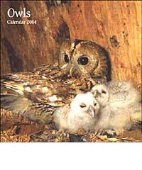 Owls. Calendario 2004 edito da Lem